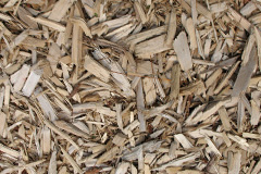 biomass boilers Pimperne